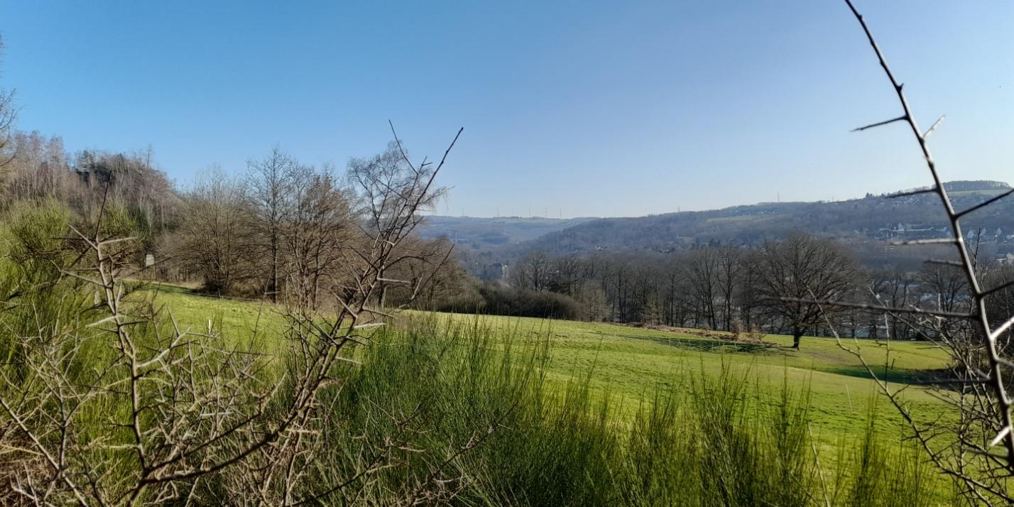 Blick über Wissen