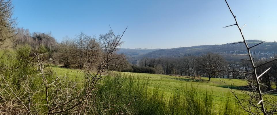 Blick über Wissen
