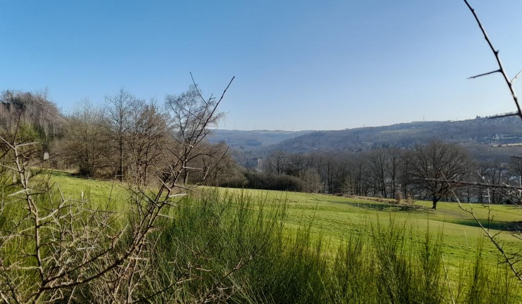 Blick über Wissen