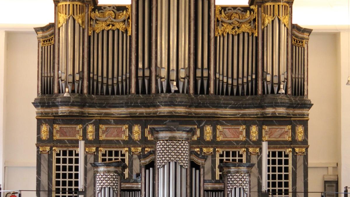 Orgel Wissen